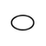 Bosch Bosch O-Ring . for GHP 5-75 X Pressure Washers Spares - F 016 L72 131