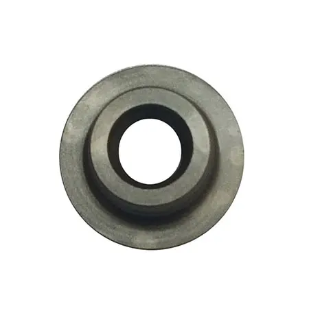 Bosch Guide Bushing .
