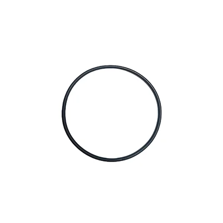Bosch O-Ring 64,0x2,5 MM .