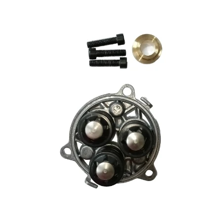 Bosch Piston Guide .