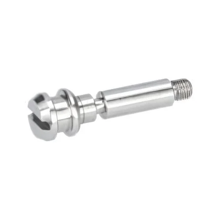 Bosch Piston .