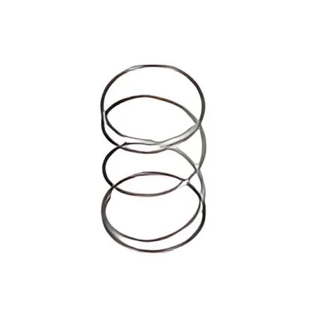 Bosch Spring .