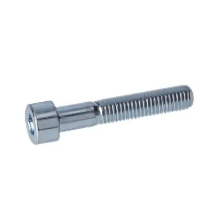 Bosch Screw .