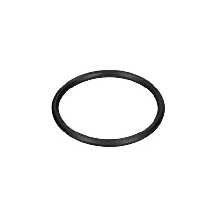 Bosch O-Ring .