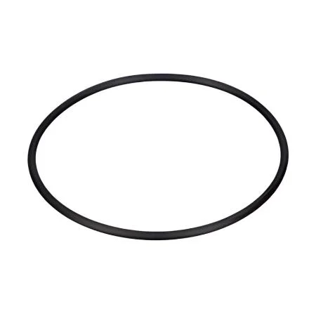 Bosch O-Ring .