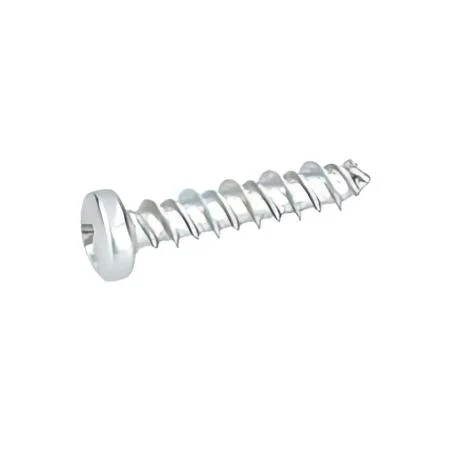 Bosch Screw .