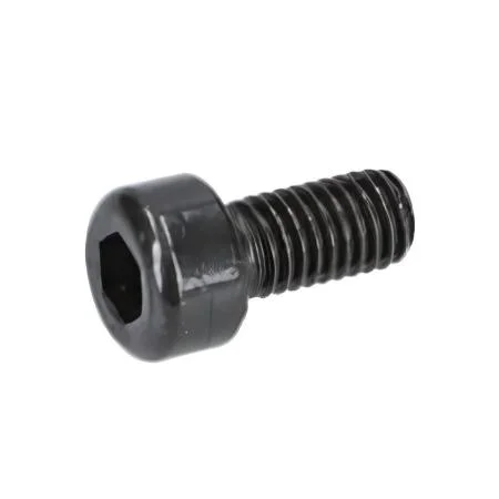 Bosch Screw .