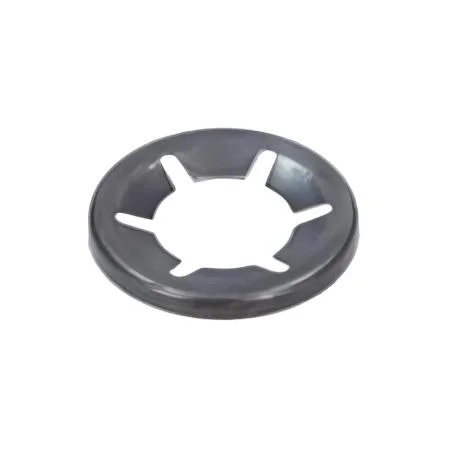 Bosch Plain Washer .